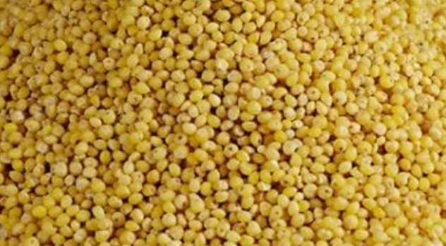 Millet, Hulled - 16 pounds
