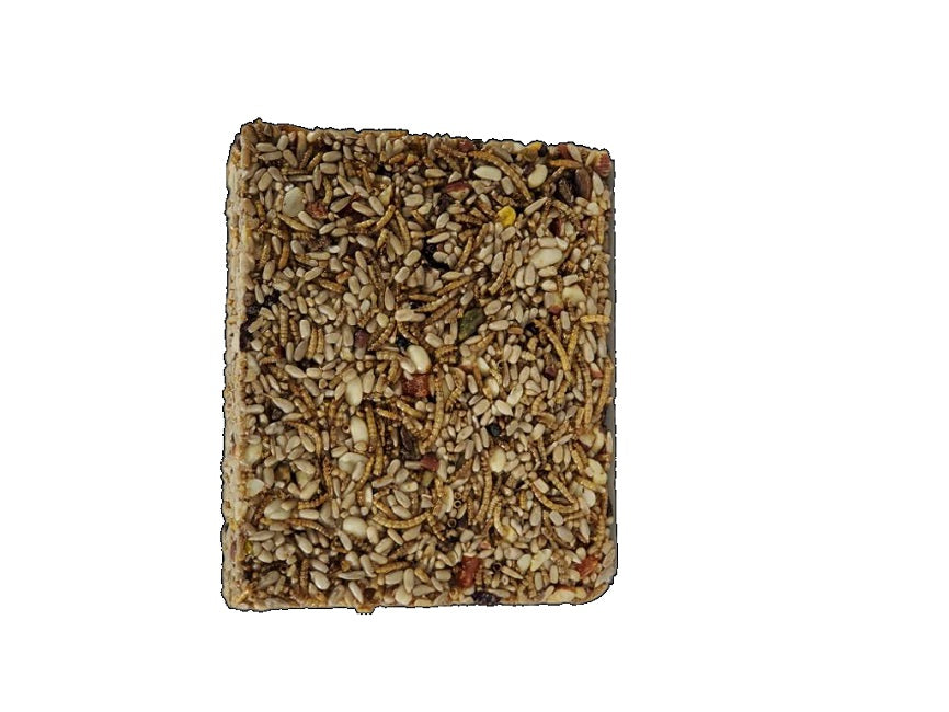 Seed Cake Large, Everything Cake