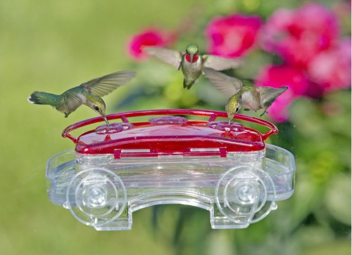 Aspects Jewel Box Window Feeder, 8 oz