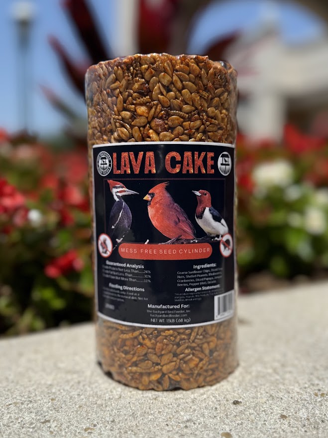 Seed Cake, Cylinder, Lava Cake