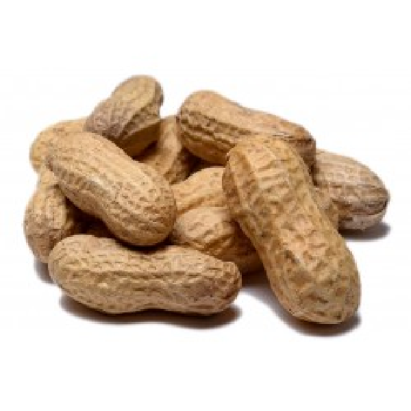 Peanuts, In-Shell - 15 pounds