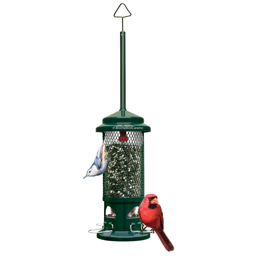 Squirrel Buster Standard bird feeder
