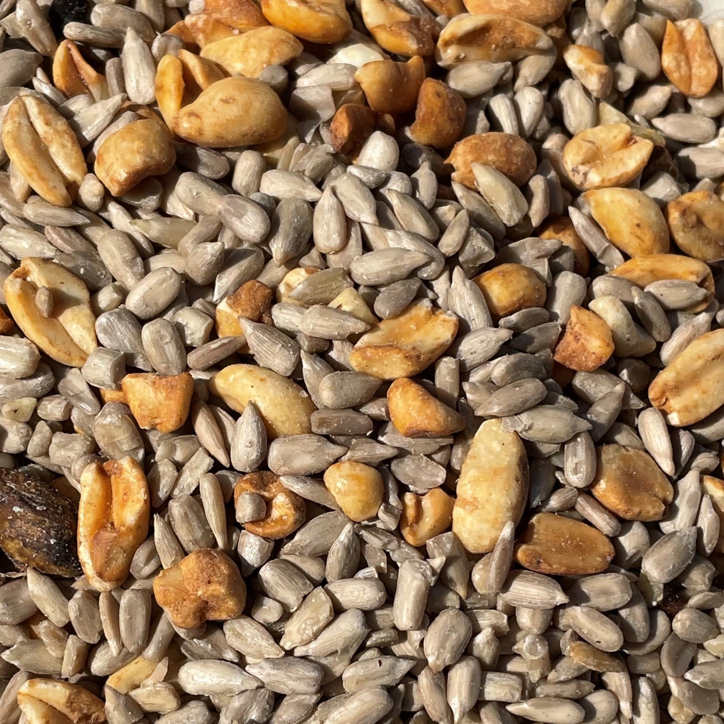 Patio Mix - 4 pounds
