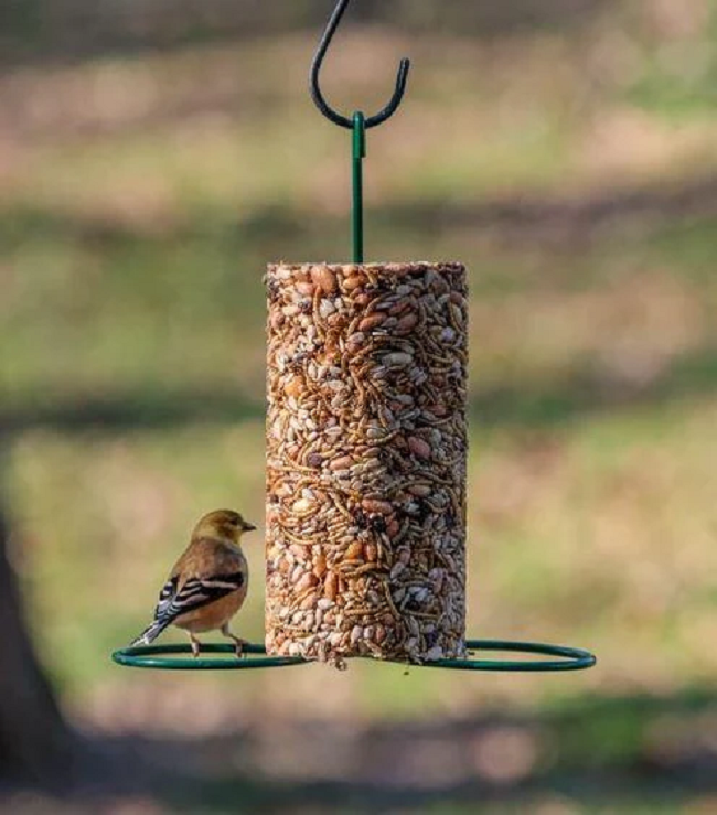Seed Cake Cylinder Feeder, 2 perches