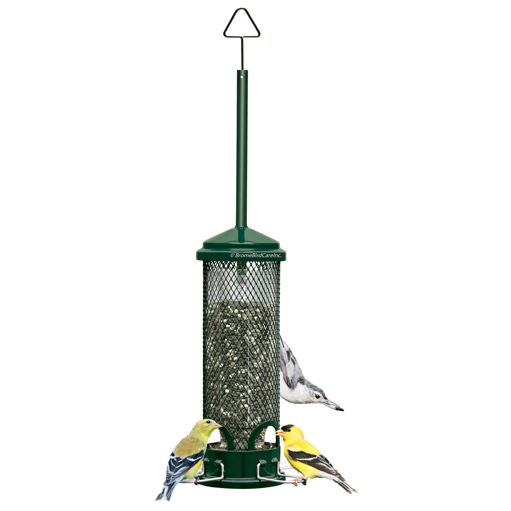 Squirrel Buster Mini bird feeder