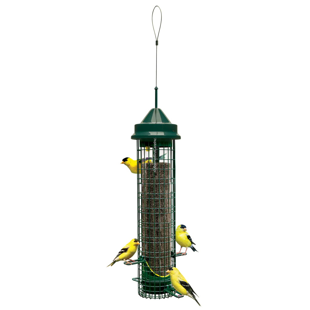 Squirrel Buster Finch bird feeder