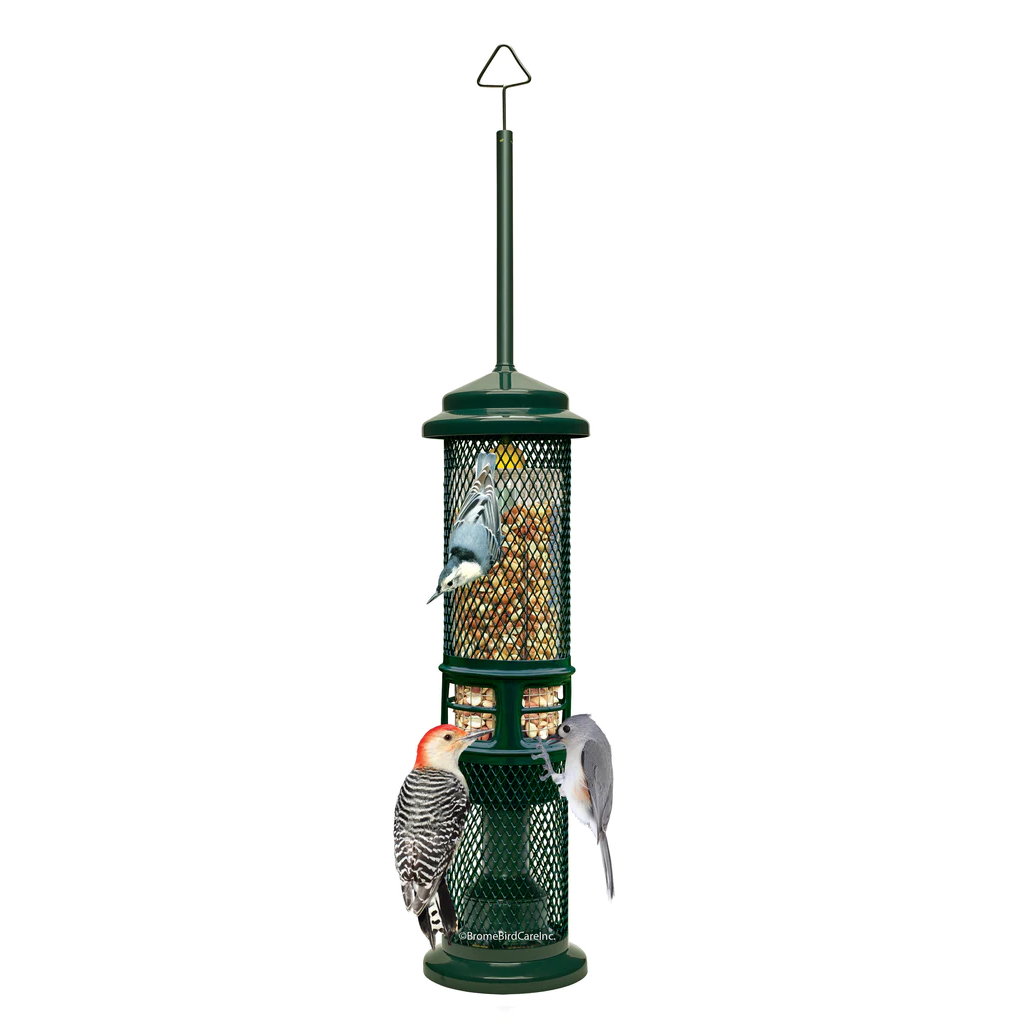 Squirrel Buster Nut bird feeder