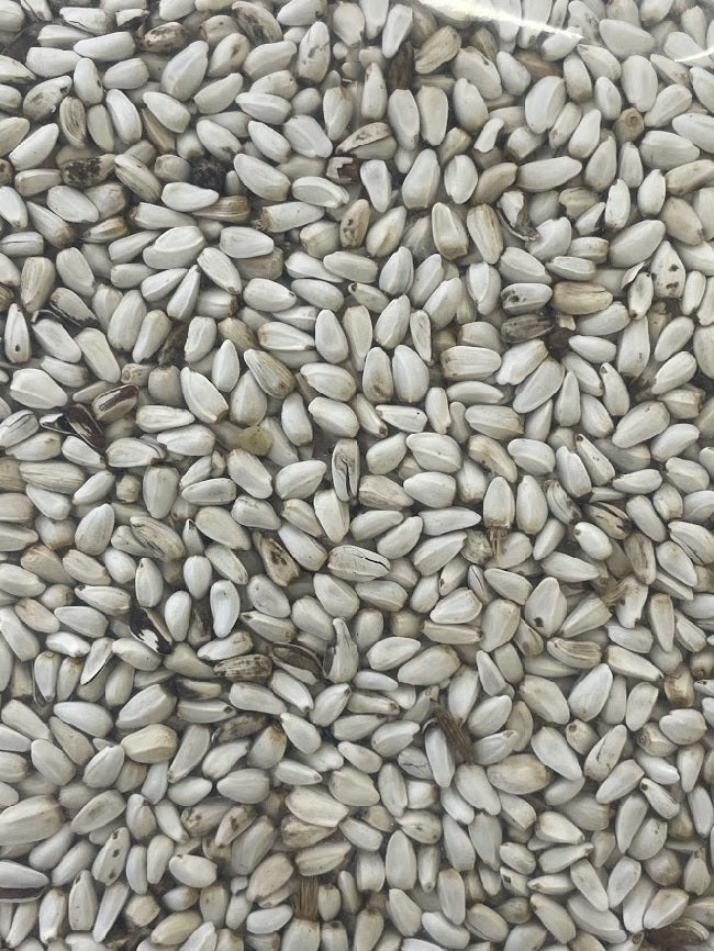 Safflower, white - 16 pounds