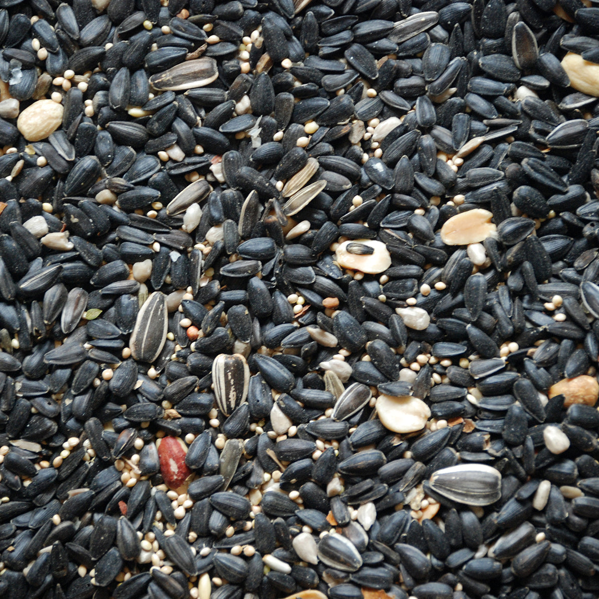 Bird Mix - 16 pounds