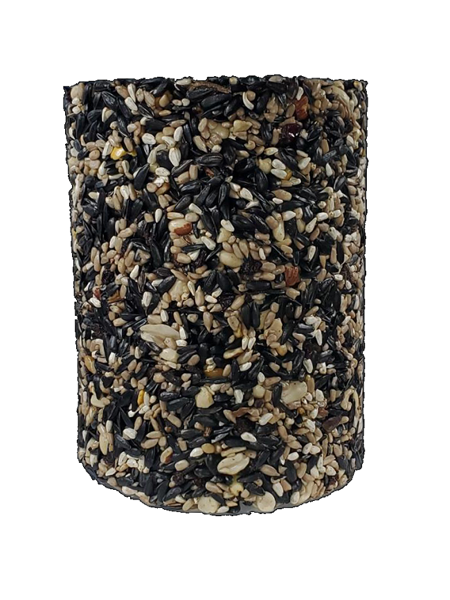 Seed Cake Cylinder Extra Large, Party Mix