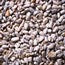Hulled Sunflower - 4 pounds