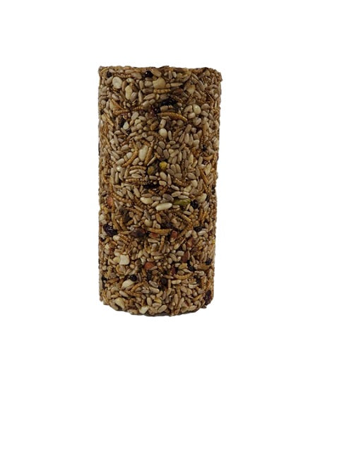 Seed Cake Cylinder, Everything Cake