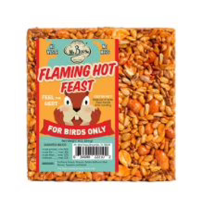 Seed Cake, Small, Flaming Hot Feast The Backyard Bird Feeder