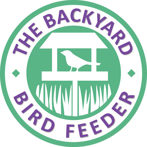 The Backyard Bird Feeder