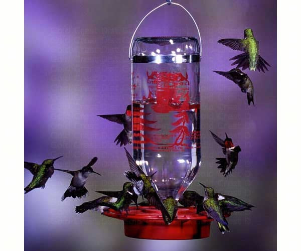 Best-1® 32oz Hummingbird Feeder