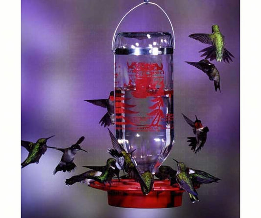 Best-1® 32oz Hummingbird Feeder