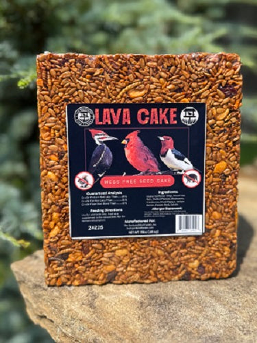 Seed Cake, Large, Lava Cake