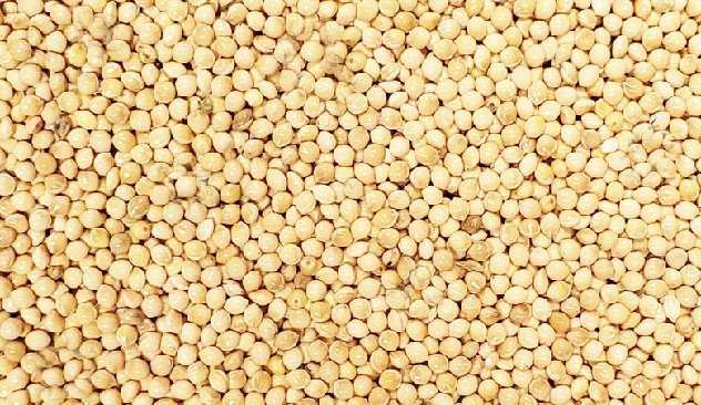 Millet - 16 pounds