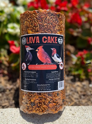 Seed Cake, Cylinder, Lava Cake
