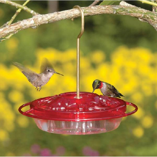 Aspects HummZinger Little Fancy Mini, 8 oz