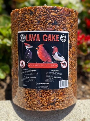 Seed Cake, Cylinder, Extra Large, Lava Cake