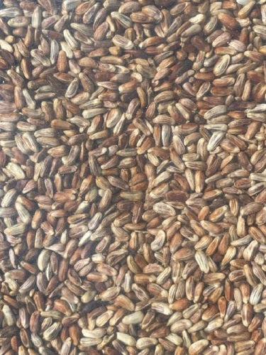 Seed Cake, Cylinder, Magic Seed (NutraSafflower)