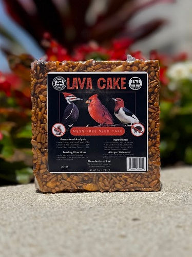 Seed Cake, Small, Lava Cake