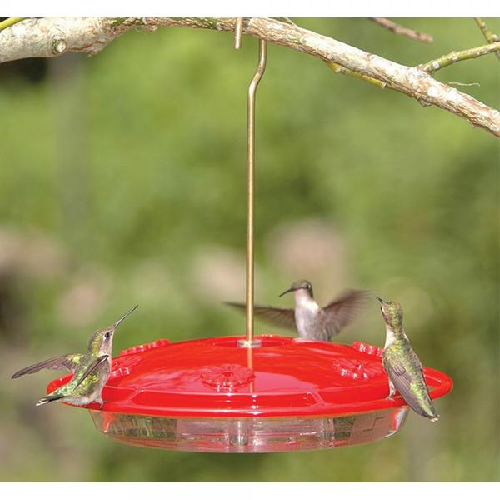 Aspects HummZinger Excel, 16 oz