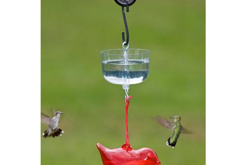 Ant Moat, Clear, 9oz