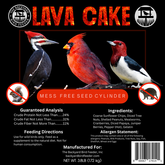 Seed Cake, Large, Lava Cake