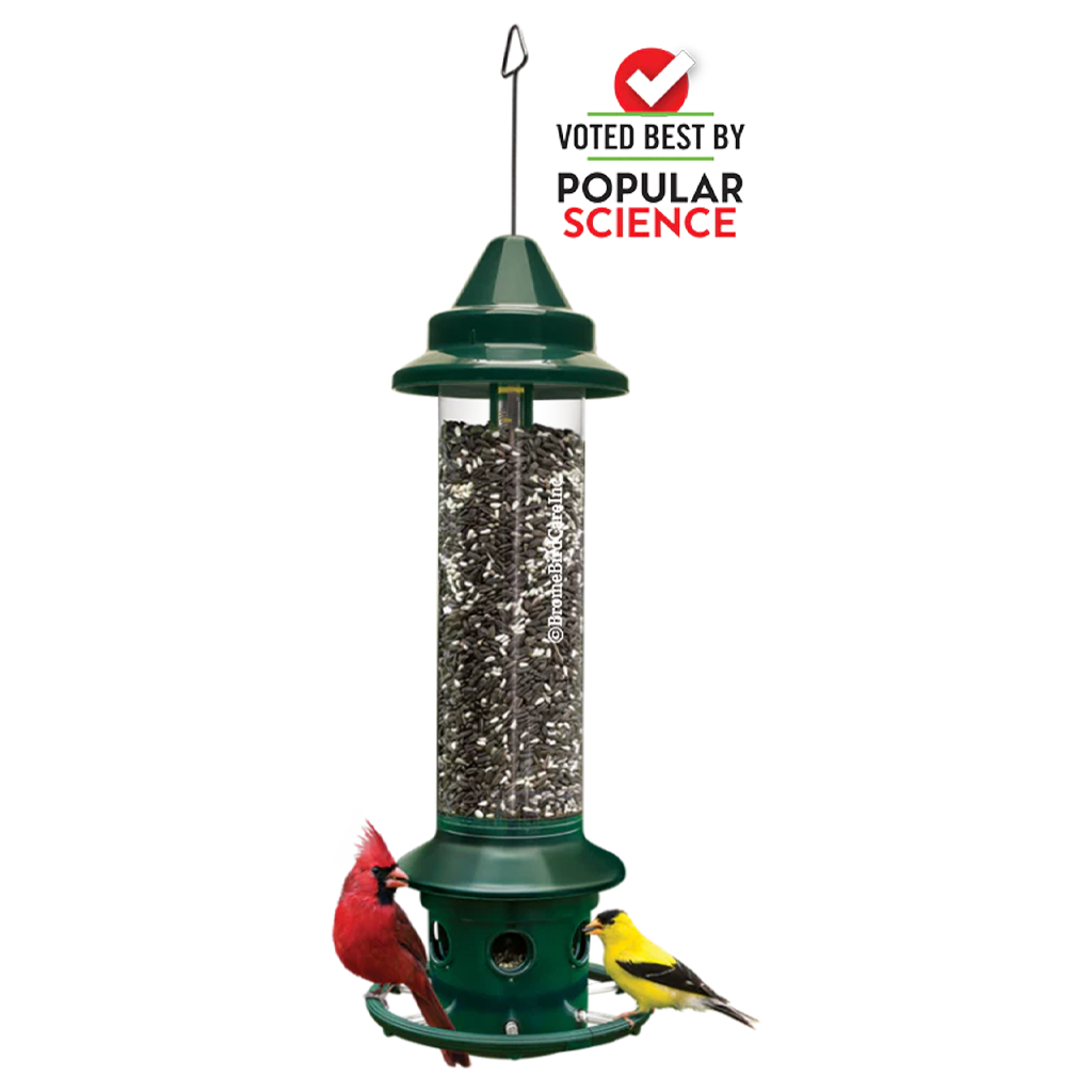 Squirrel Buster Plus bird feeder