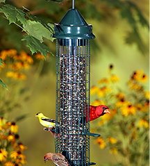 Squirrel Buster Classic bird feeder