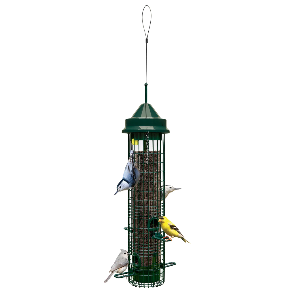 Squirrel Buster Classic bird feeder