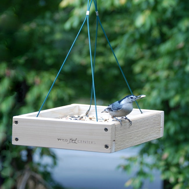 Hanging Platform bird feeder, small wood, 10" x 10"